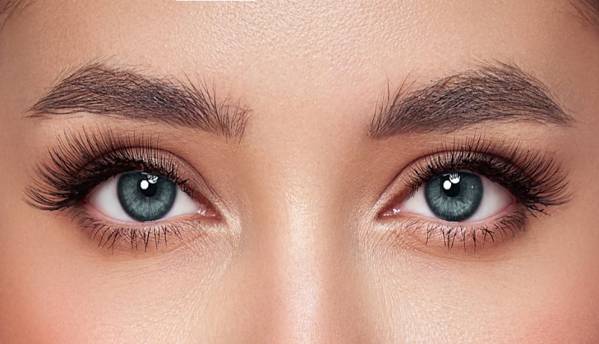 refectocil lash & brow booster