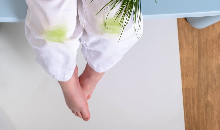 grasflecken entfernen