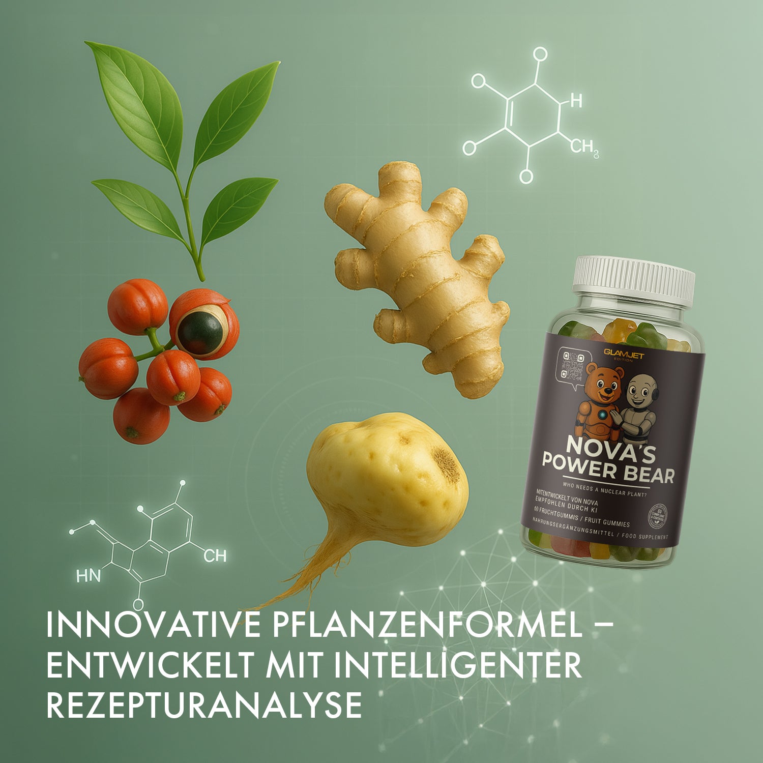 Can of NOVA'S POWER BEAR next to ginger root, maca root, red fruits and molecular structure