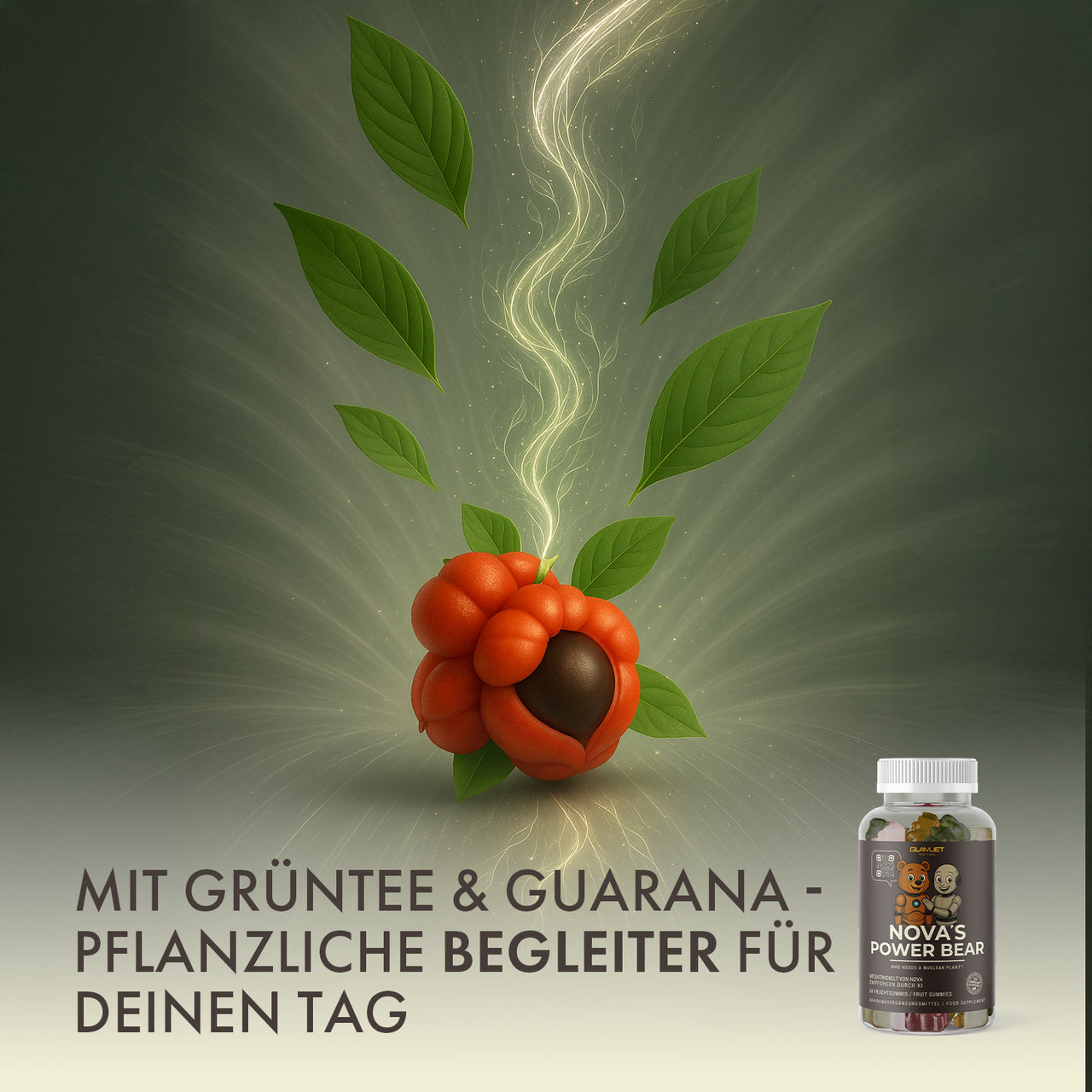 Produkt Nova’s Power Bear mit Guarana und Grüntee als pflanzliche Tagesbegleitung visualisiert