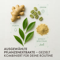 Thumbnail for Ausgewählte Pflanzenextrakte mit grünem Tee, Ingwer und Kaffeebohnen als Kombinationsgrafik