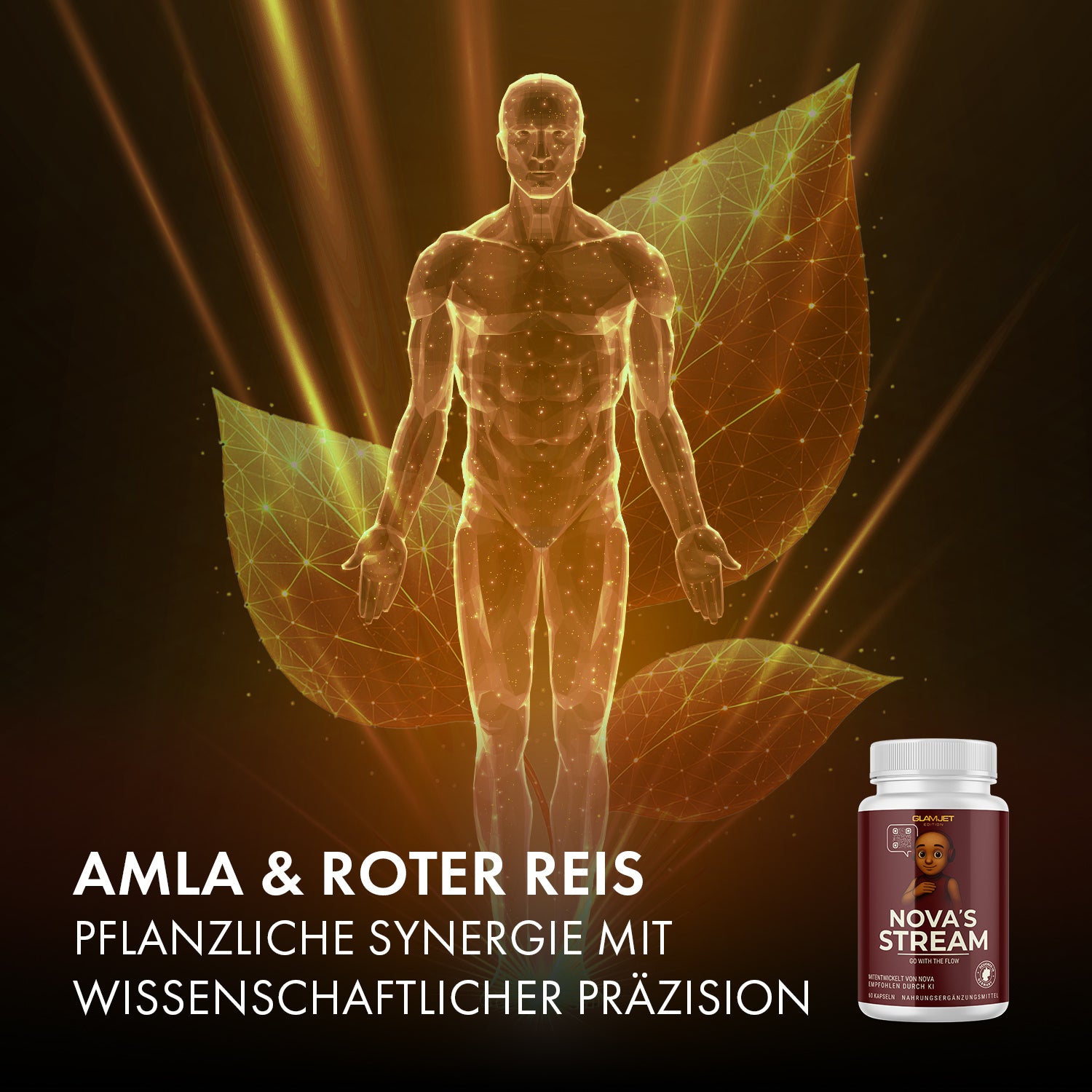 Luminous figure in front of leaf shapes with text about Amla, red rice and can of NOVA'S STREAM