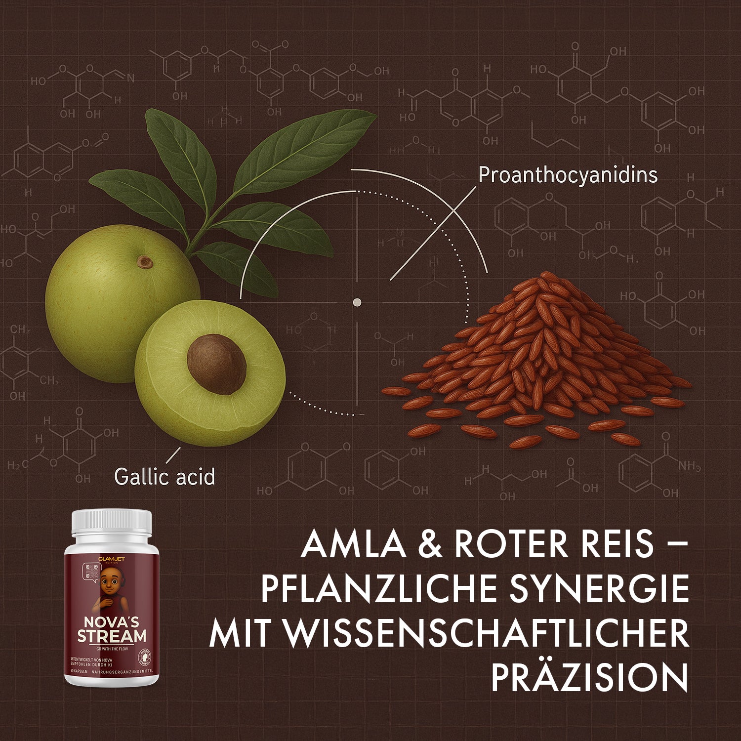 Illustration of Amla, red rice and chemical formula with can of NOVA'S STREAM and text