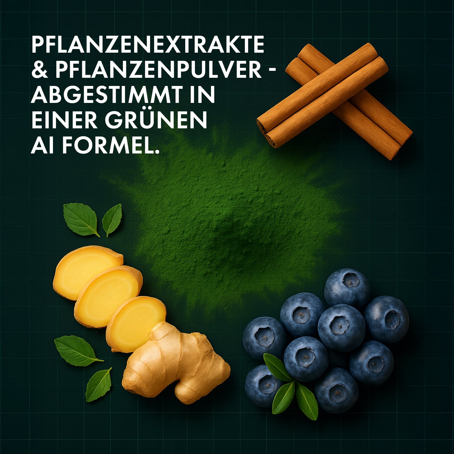 Grünes Pulver mit Zimtstangen Ingwer Blaubeeren und Blättern auf dunklem Hintergrund mit Gittermuster