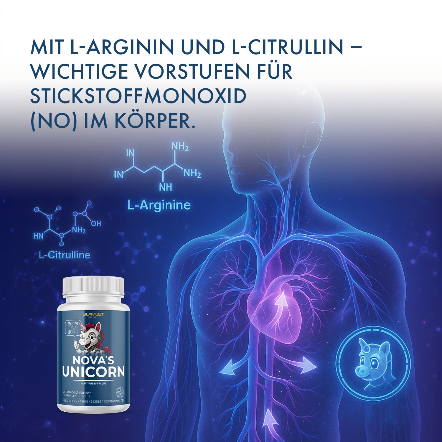 Visualisierung des Blutkreislaufs mit L-Arginin, L-Citrullin und Dose NOVA’S UNICORN