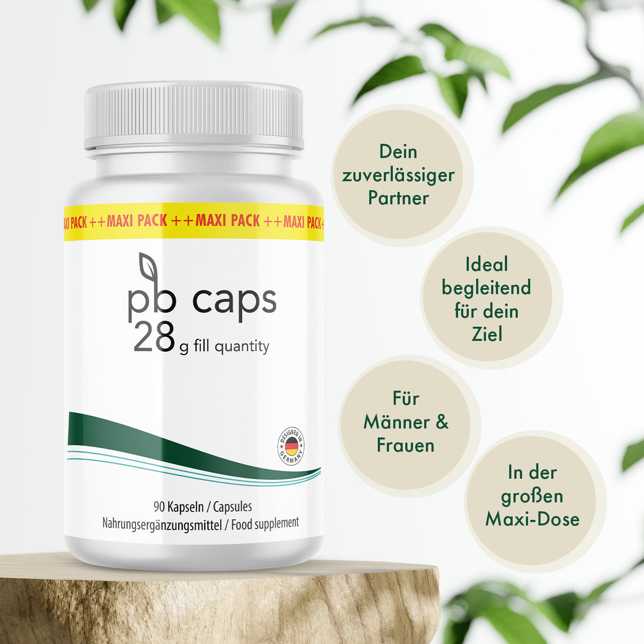 pb caps weiße Dose mit 90 Kapseln auf Holzsockel, daneben vier runde Infopunkte rechts sichtbar